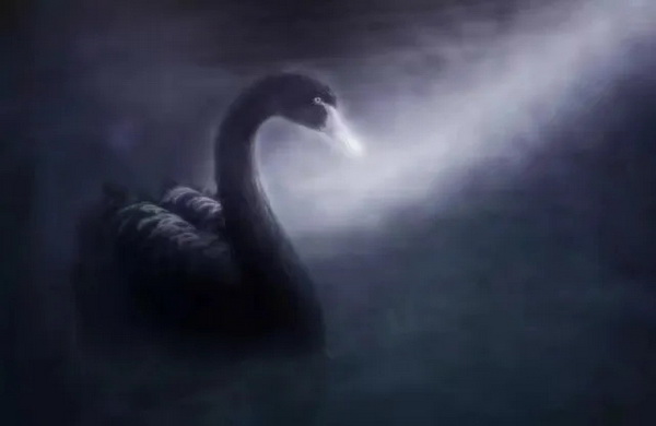 640.webp3.jpg 640.webp3.jpg