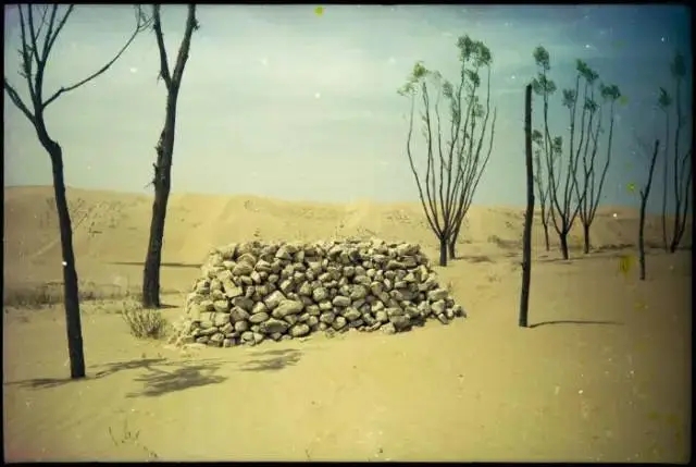 48.webp.jpg 48.webp.jpg