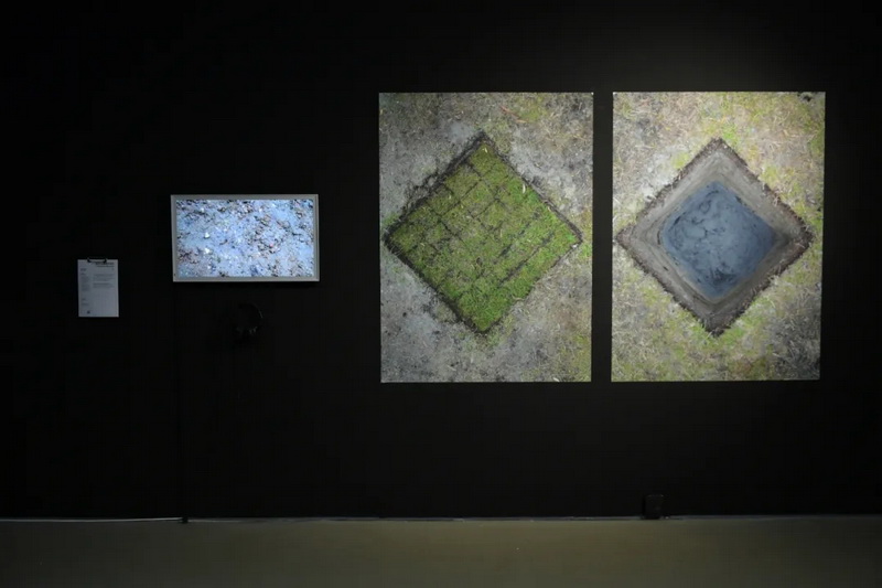 12.webp.jpg 12.webp.jpg