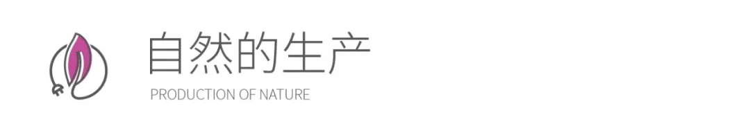 3.webp.jpg