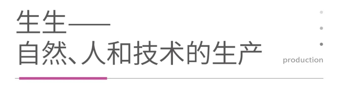 7.webp.jpg