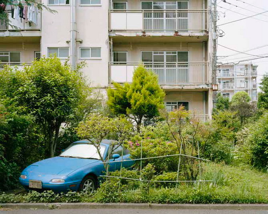 910.jpg
